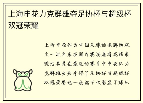 上海申花力克群雄夺足协杯与超级杯双冠荣耀